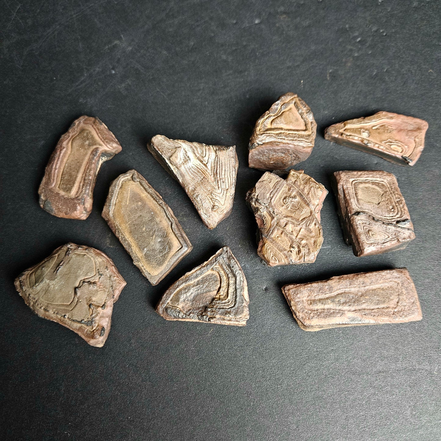 Stromatolite Sm