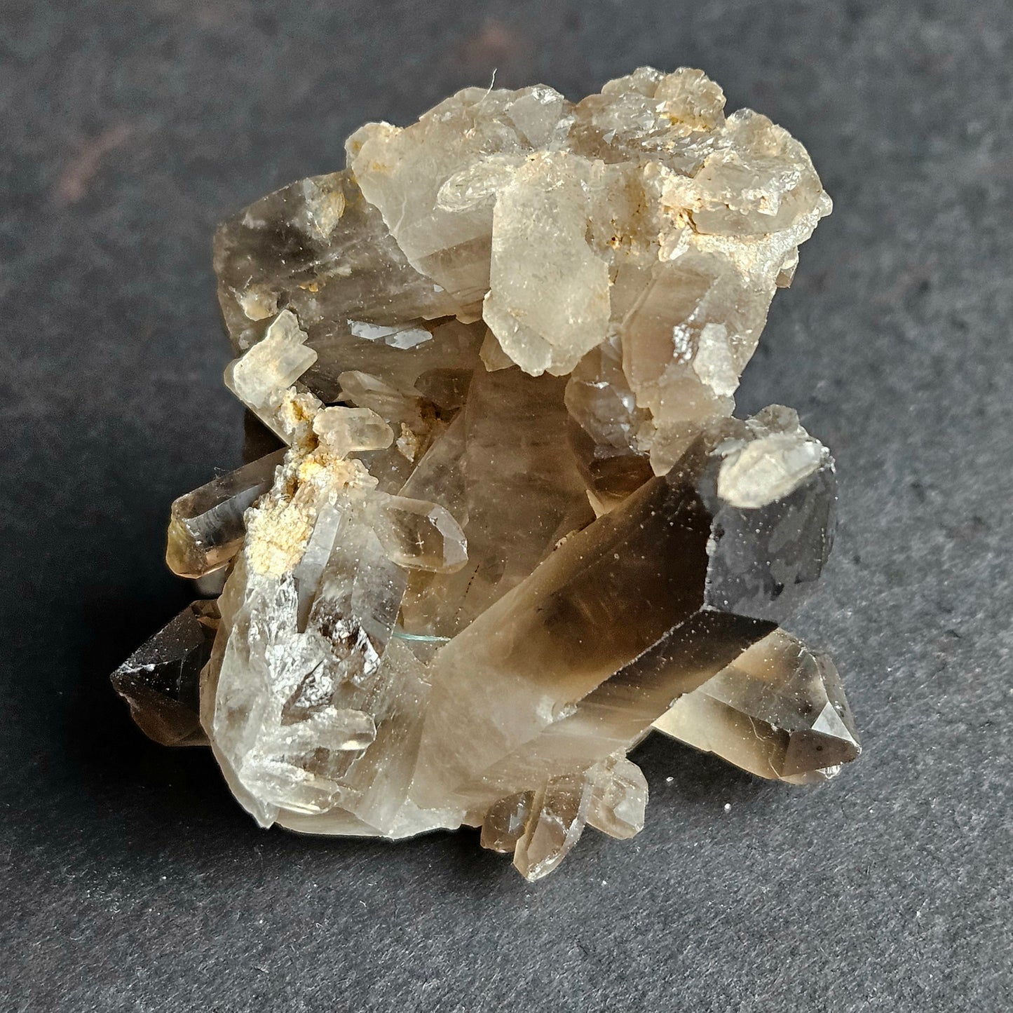 Smoky Quartz Cluster