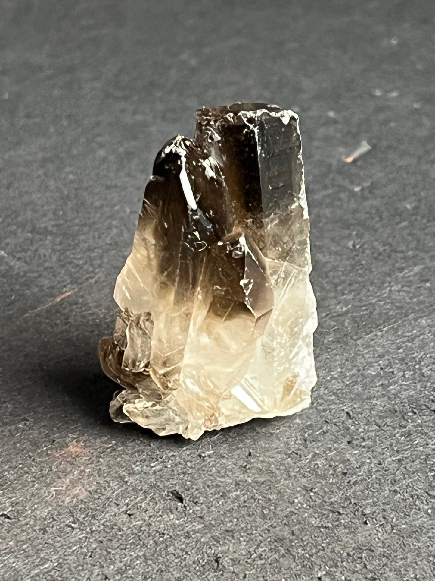 Smoky Quartz Cluster