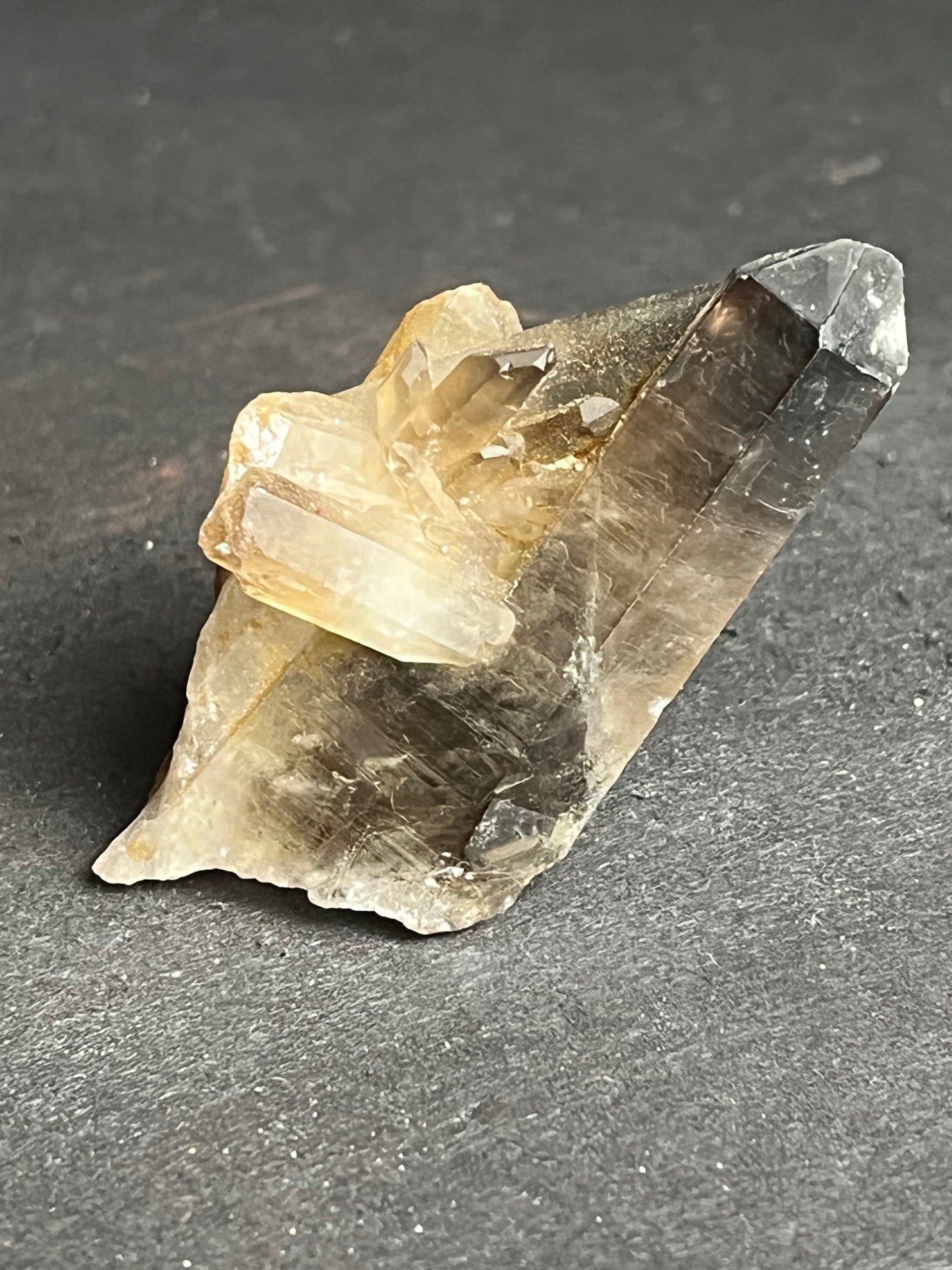 Smoky Quartz Cluster