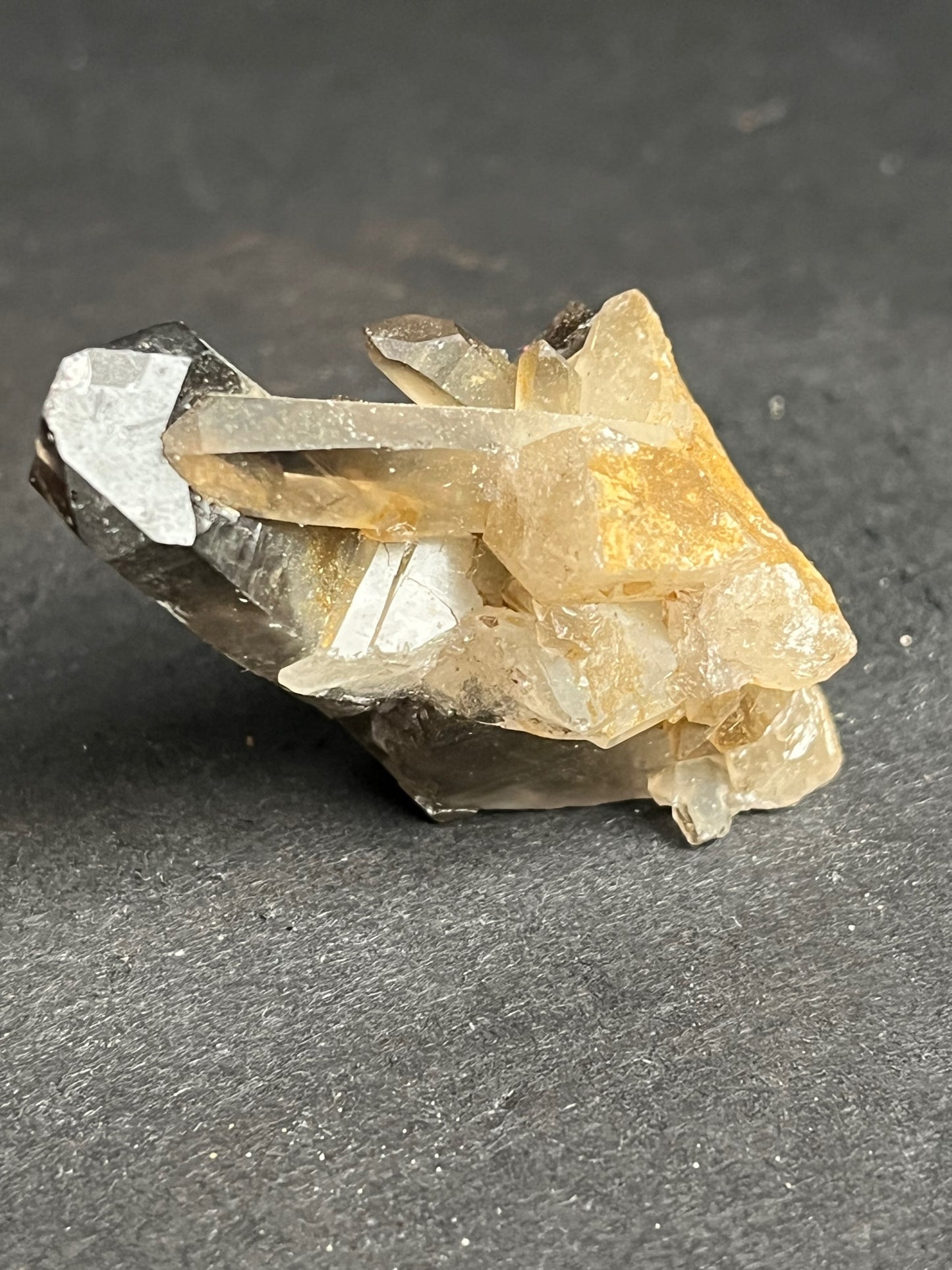 Smoky Quartz Cluster