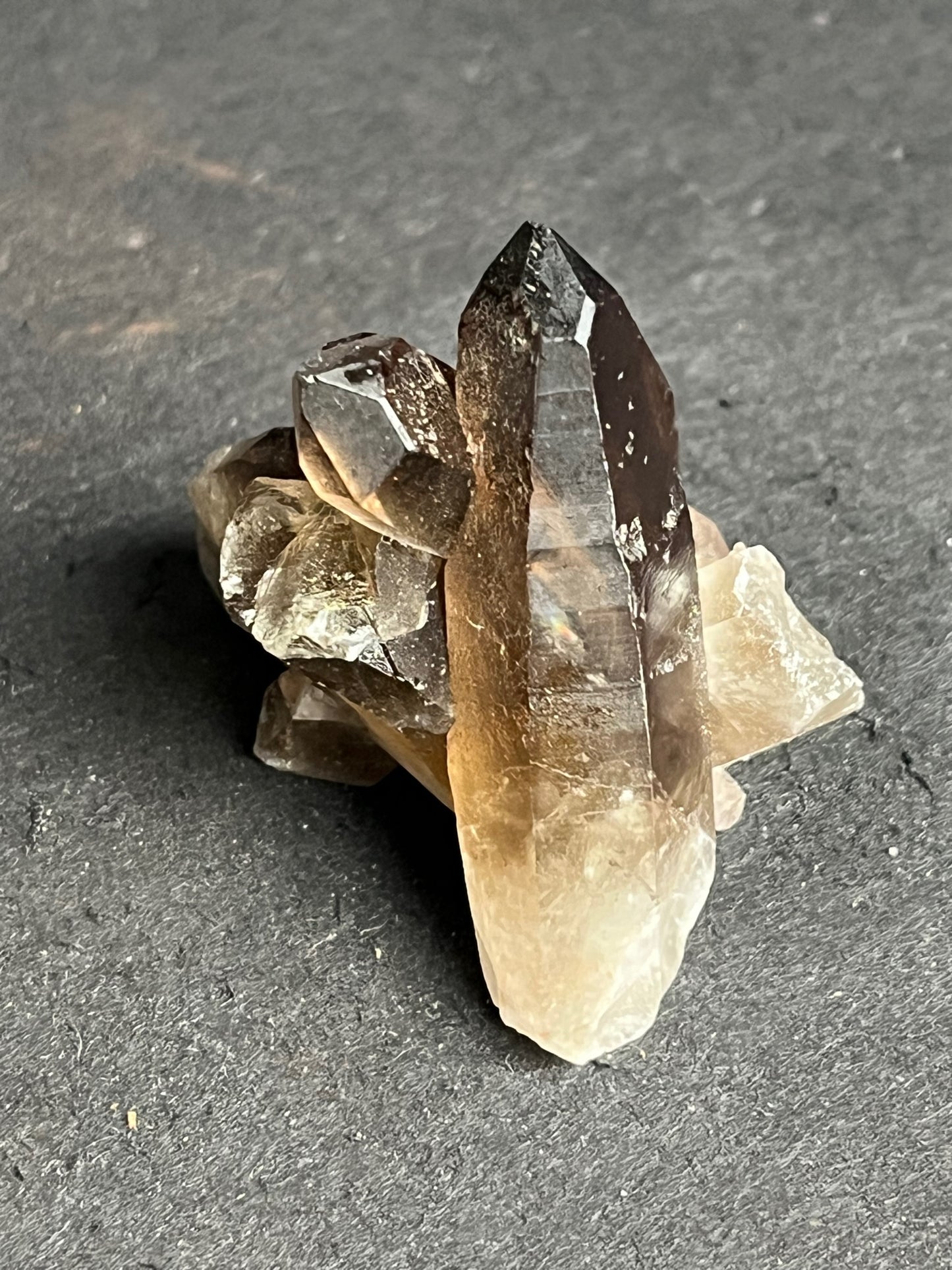 Smoky Quartz Cluster