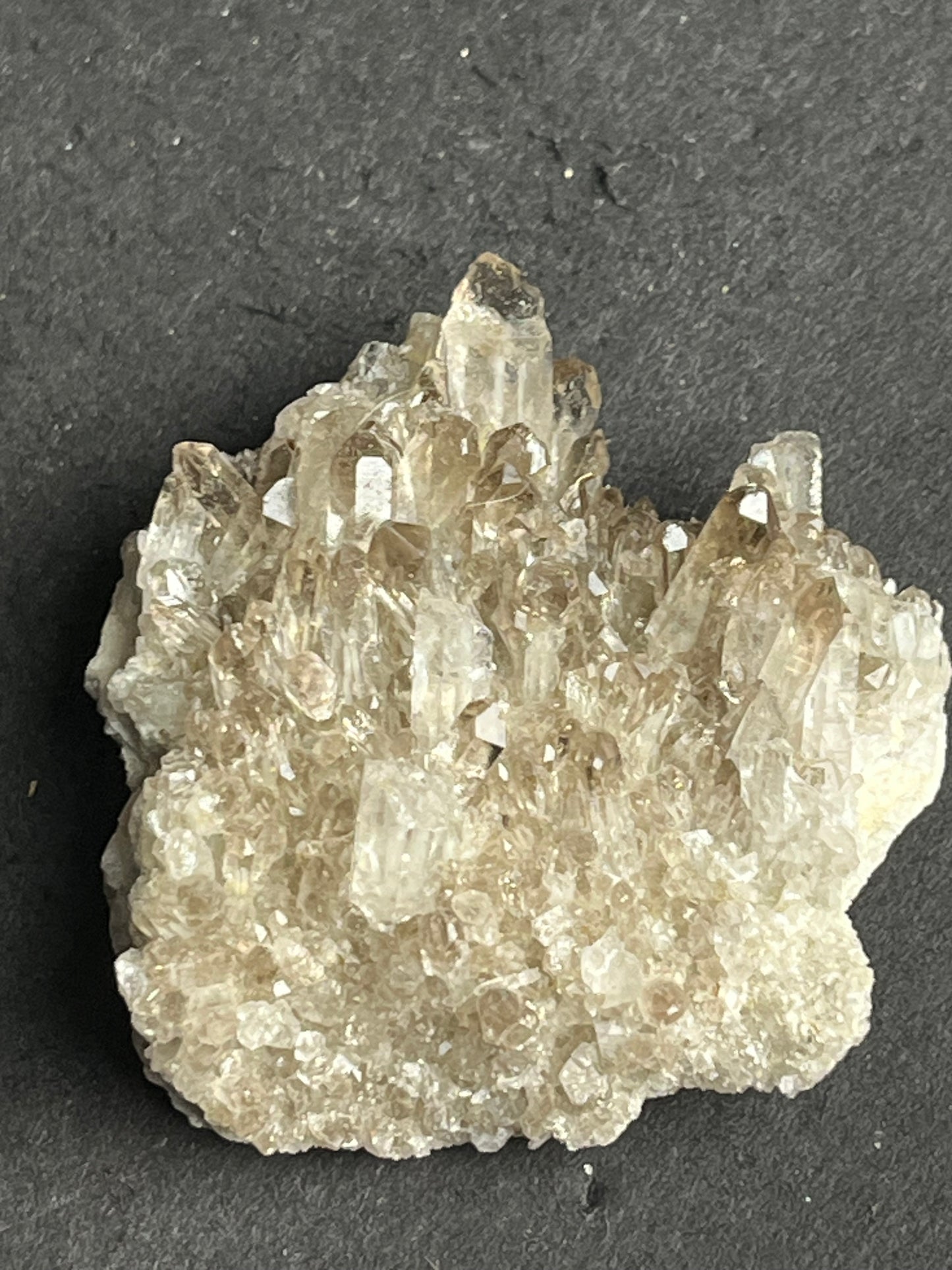 Smoky Quartz Cluster