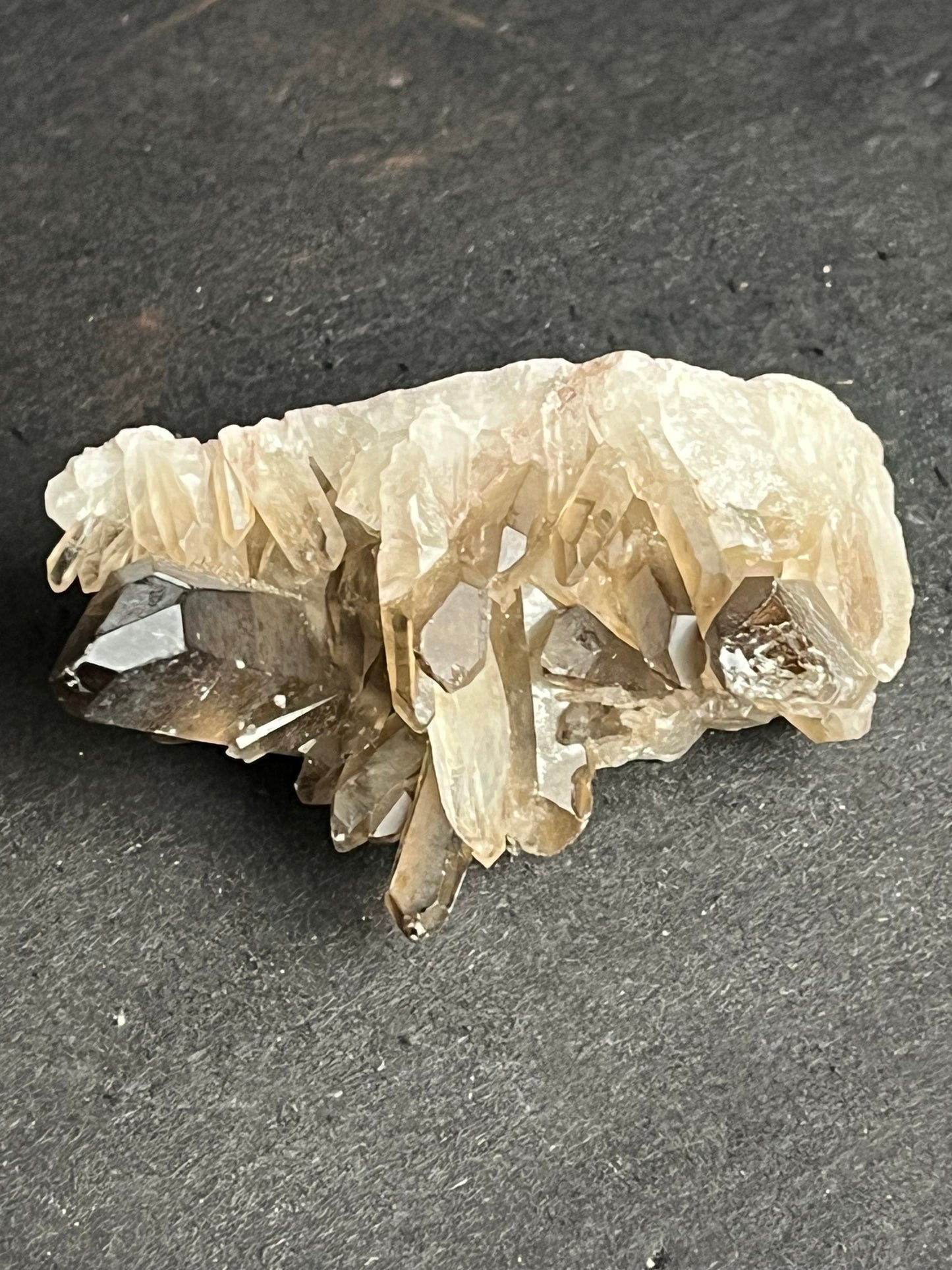 Smoky Quartz Cluster